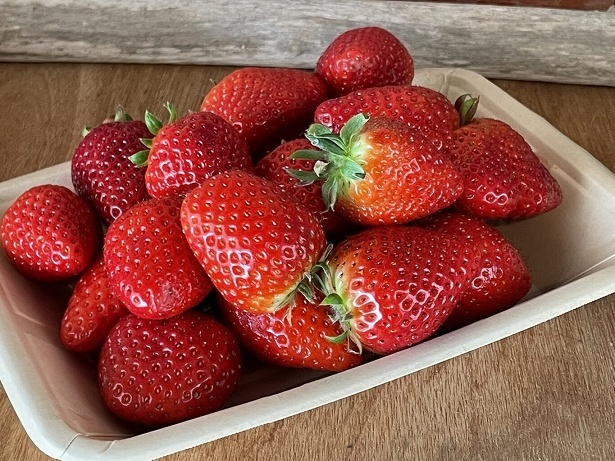 画像3 / 20＞横浜赤レンガ倉庫の「Yokohama Strawberry Festival 2026