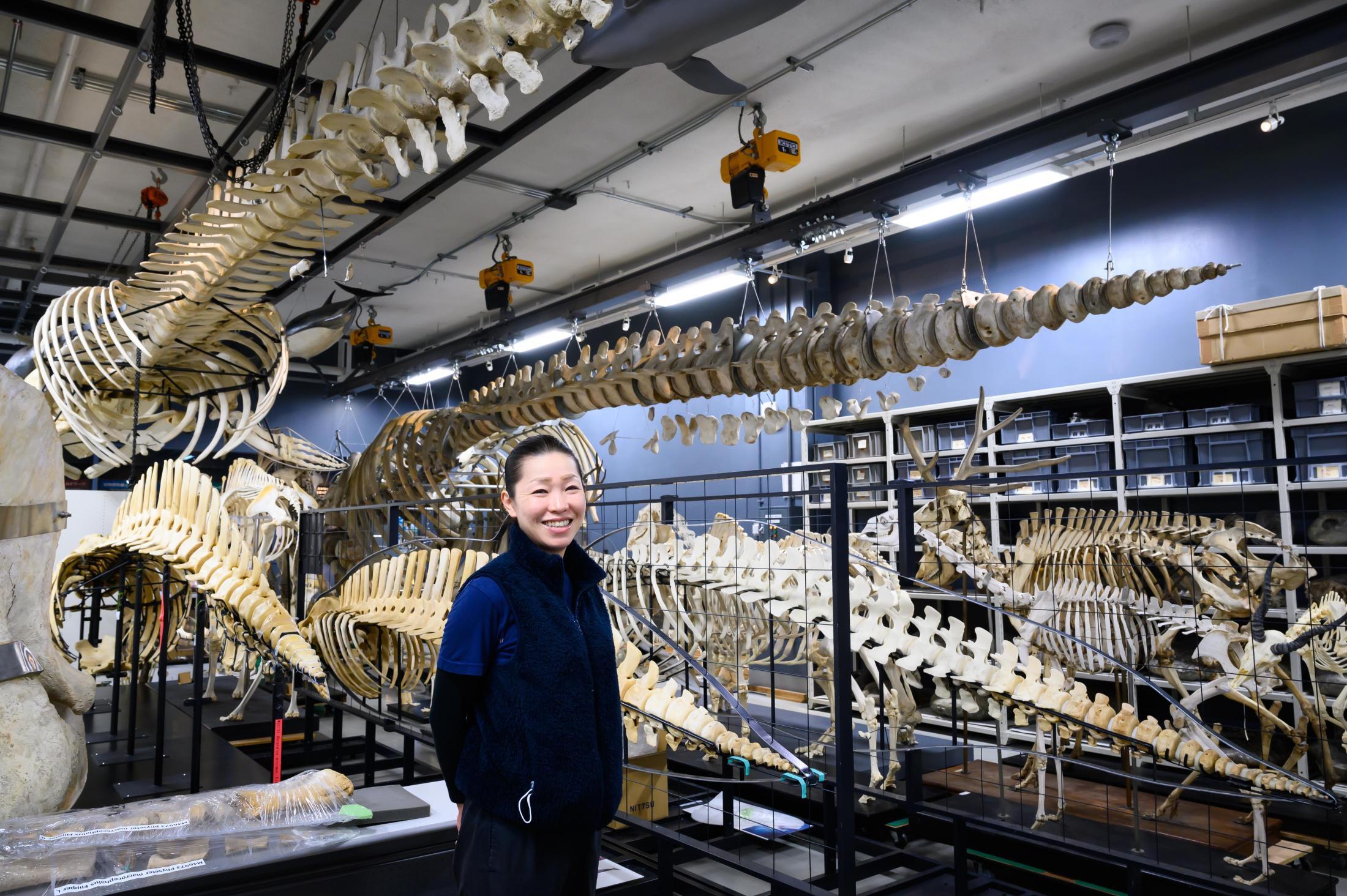 クジラやイルカを解剖し続け2000体、海獣学者が受け取る亡き骸からの