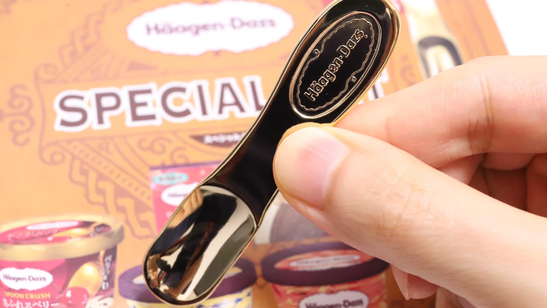 金のスプーン付】ハーゲンダッツのスペシャルセット開封レポ！金の