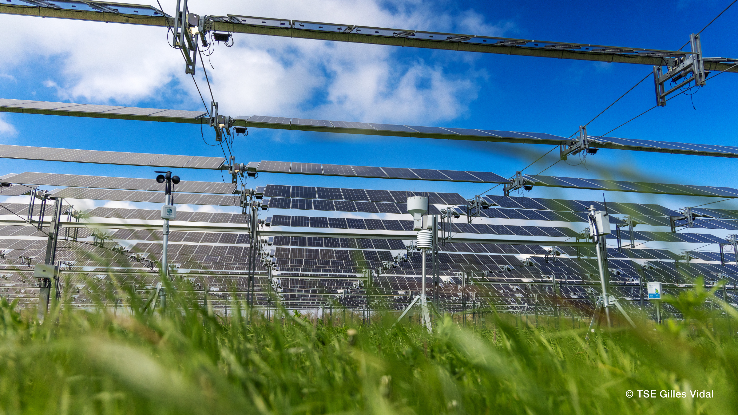 Renewable power: STMicroelectronics and TSE sign 15-Year PPA to