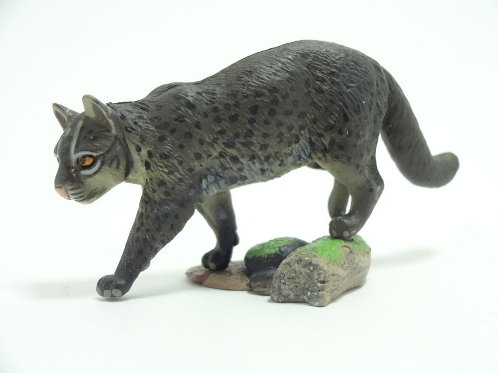 週刊日本の天然記念物 2