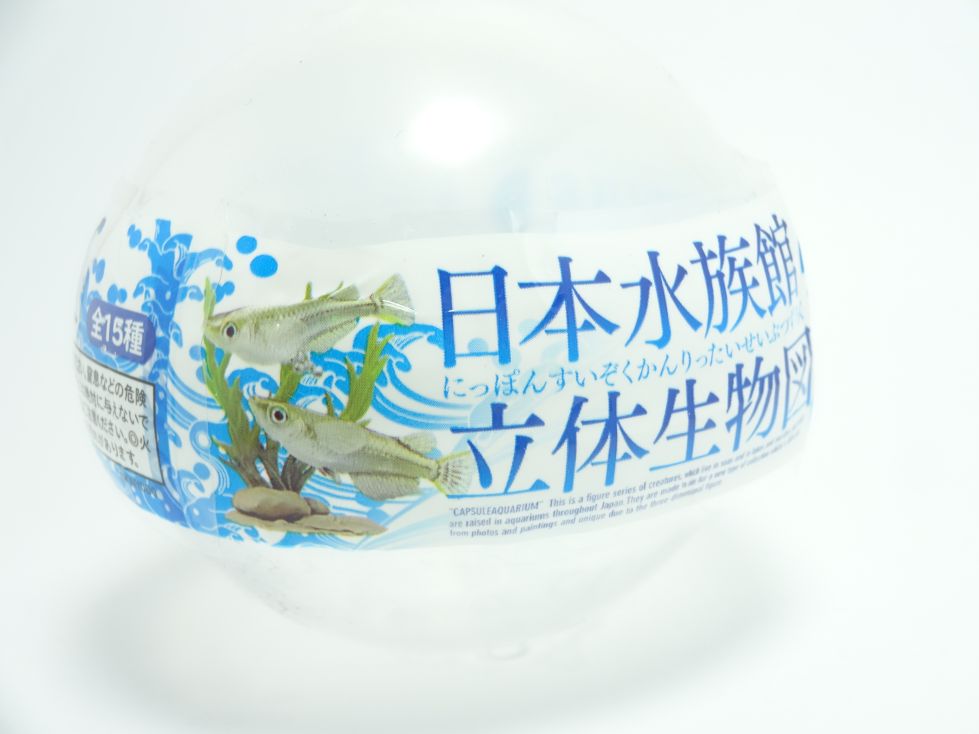 日本水族館立体生物図録2