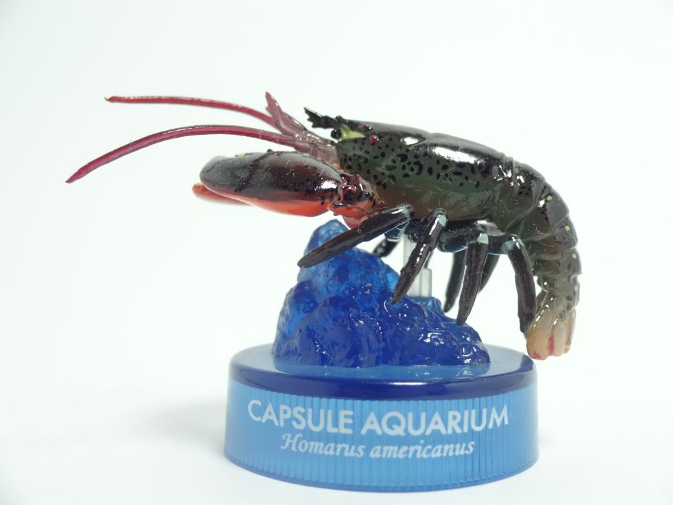 日本水族館立体生物図録4