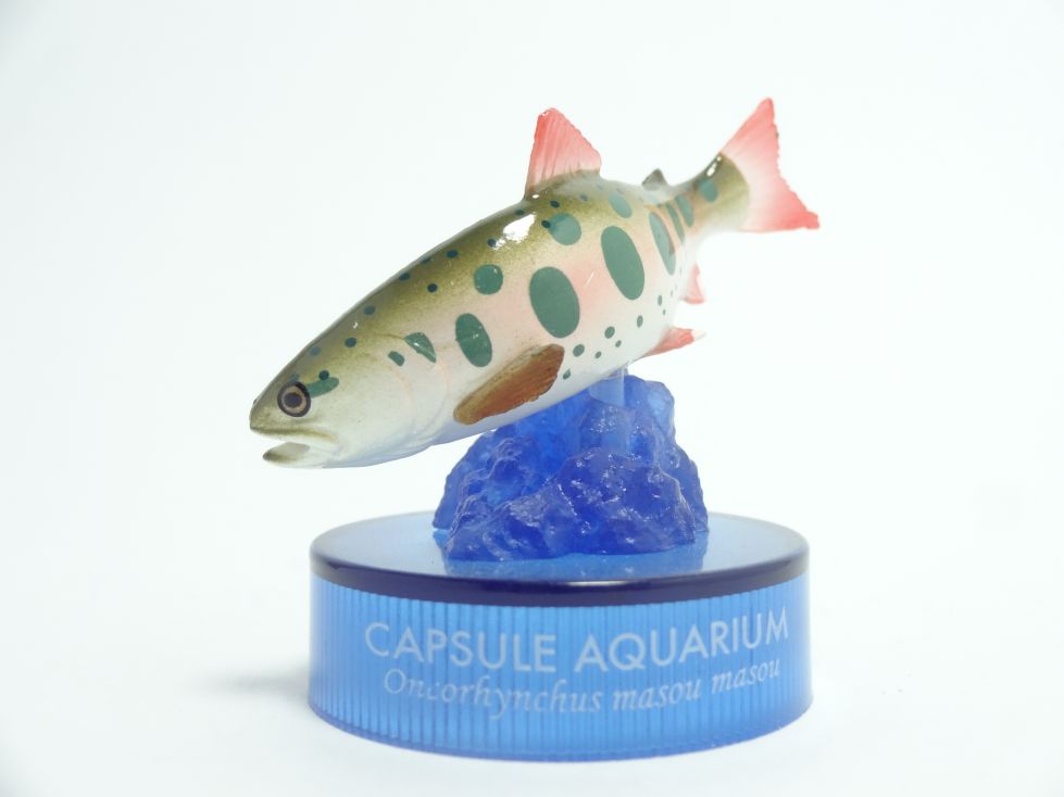 日本水族館立体生物図録6