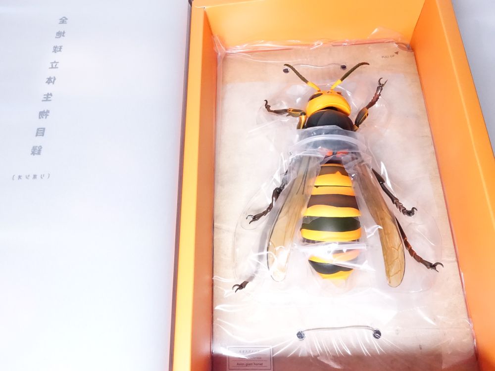 REVOGEO オオスズメバチ