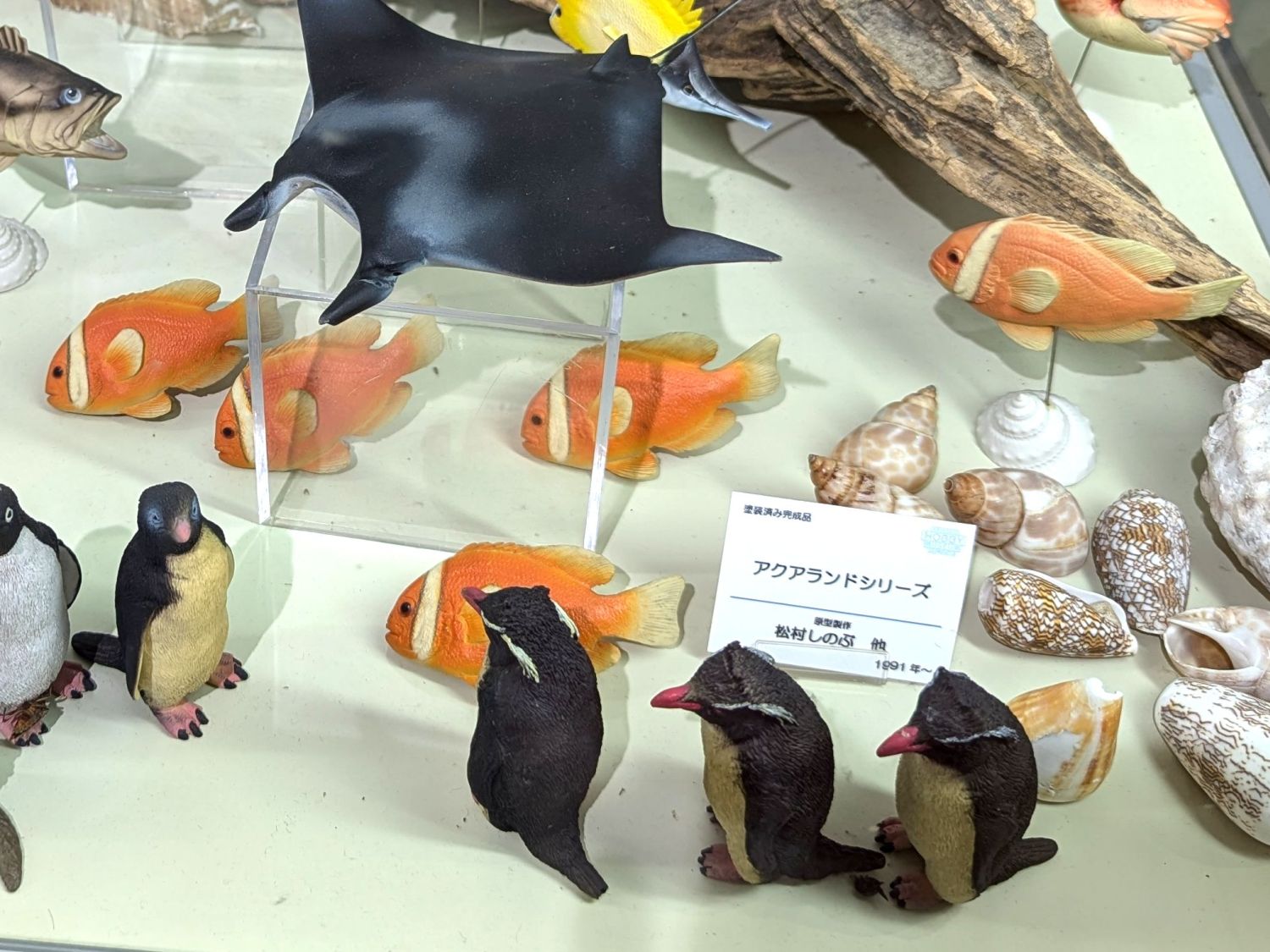 水生生物モデルコレクションAQUALAND その3