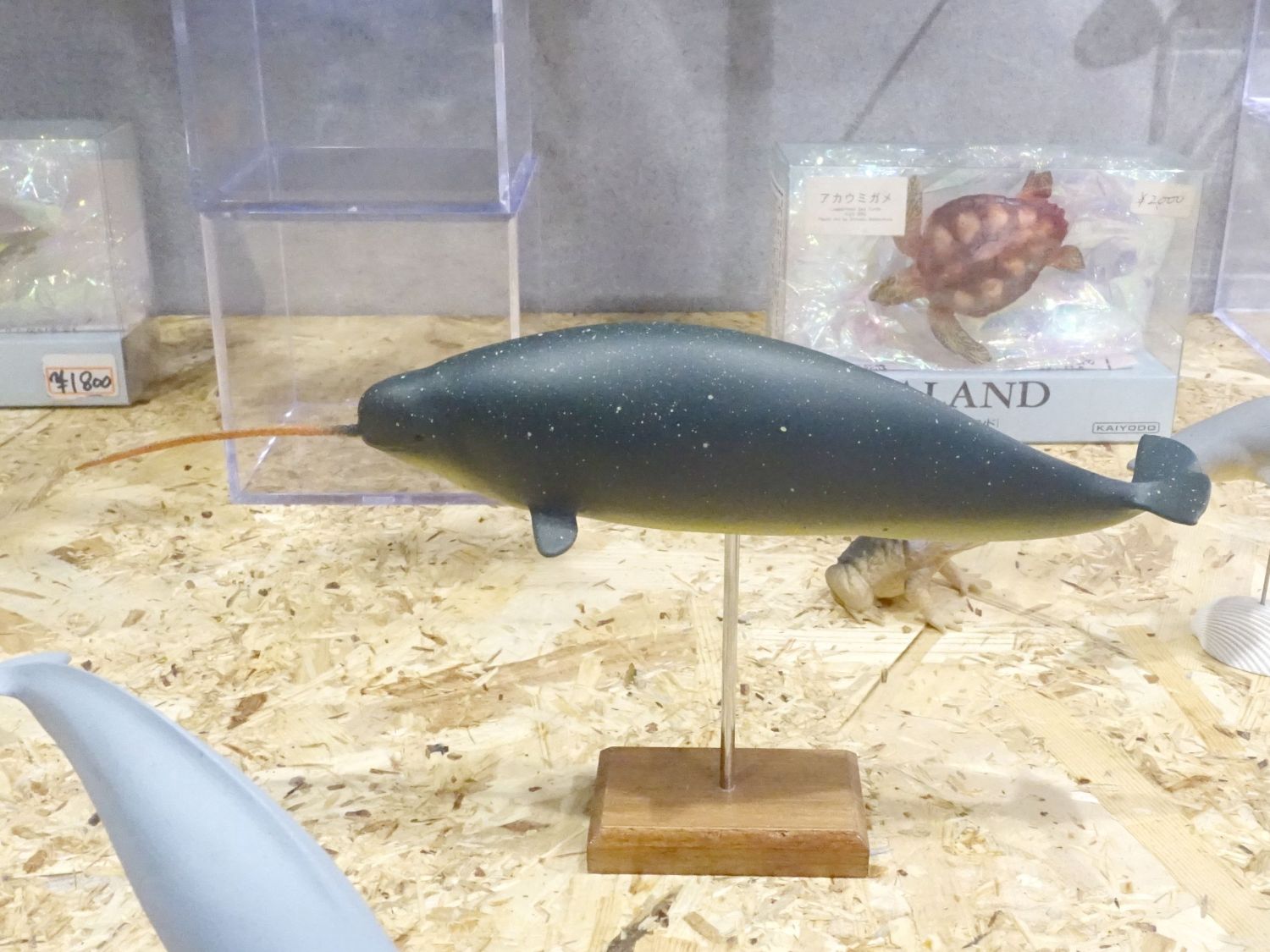 水生生物モデルコレクションAQUALAND その3