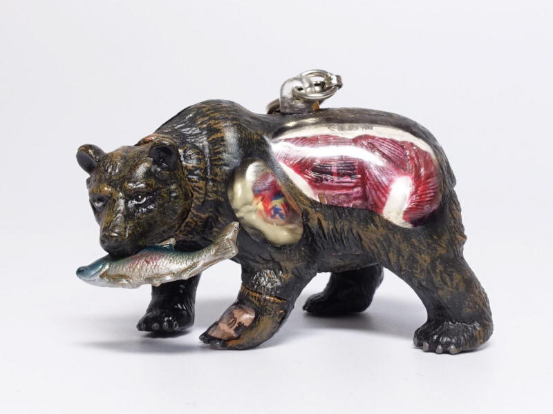 奇譚クラブご当地解剖図鑑