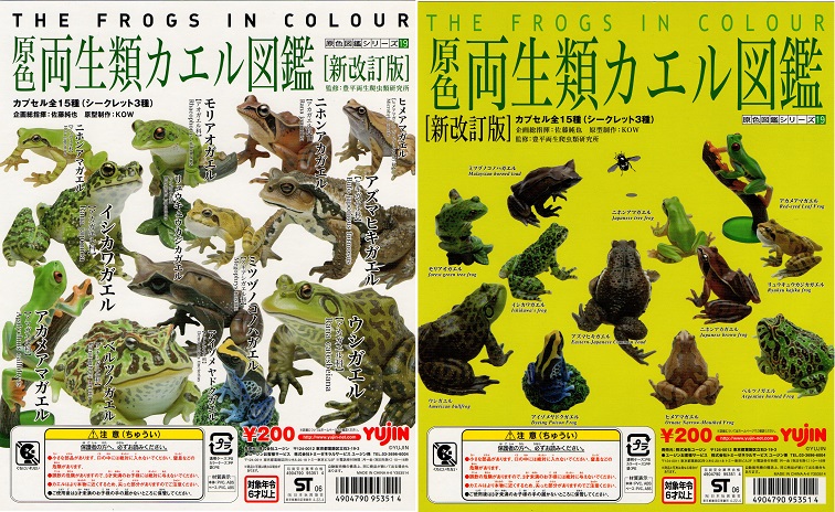 原色両生類カエル図鑑[新改訂版]