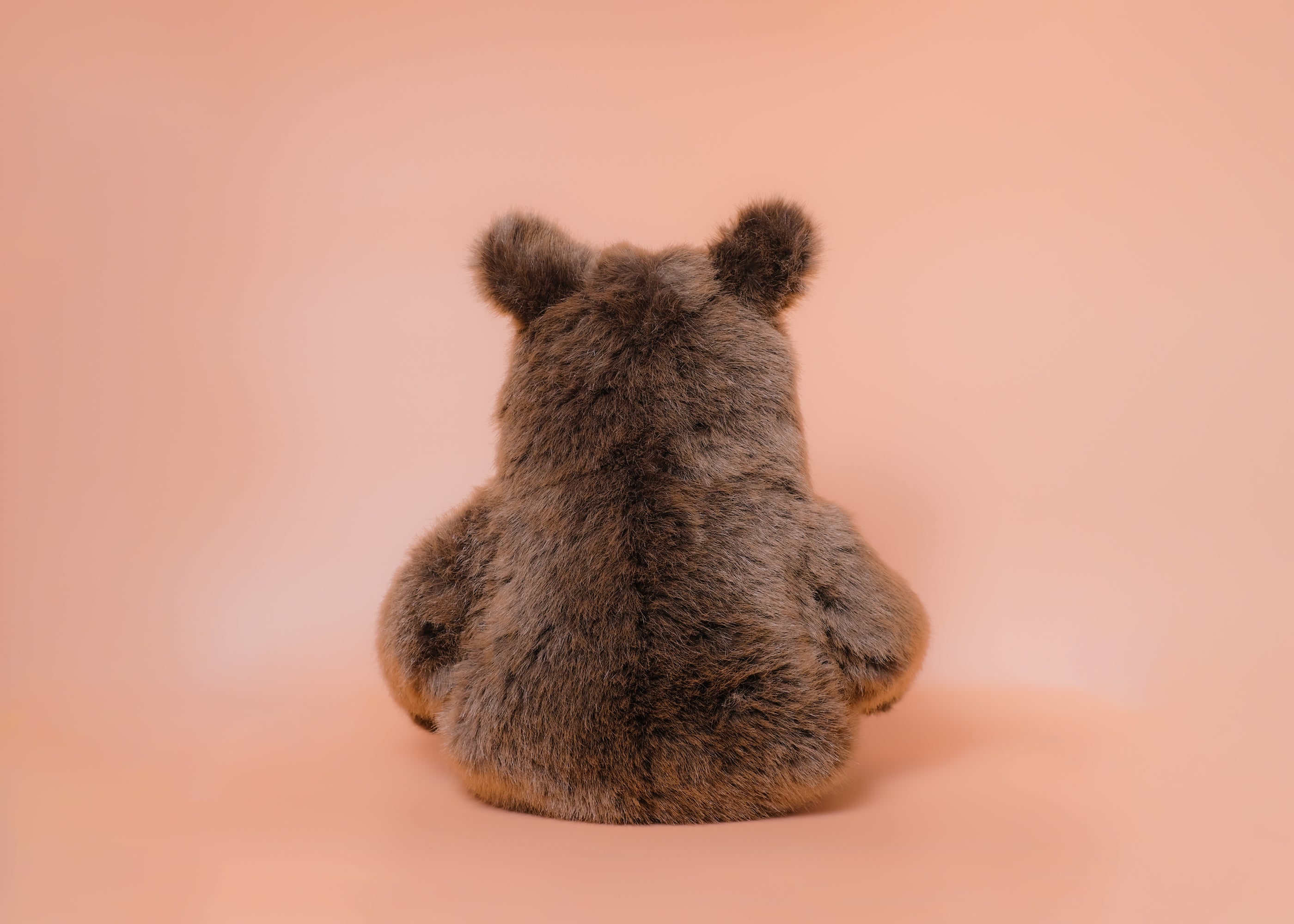 ソフトブラウンベア 大 – niiiwa