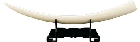 日露戦争凱旋観兵式記念切手なら【日晃堂】｜日露戦争凱旋観兵式記念