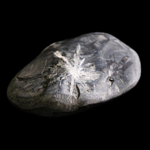 菊花石とは？特徴・価値を解説！｜骨董品に関するコラム【骨董・古美術