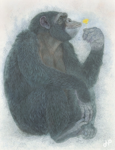 観想 - 公益社団法人日展