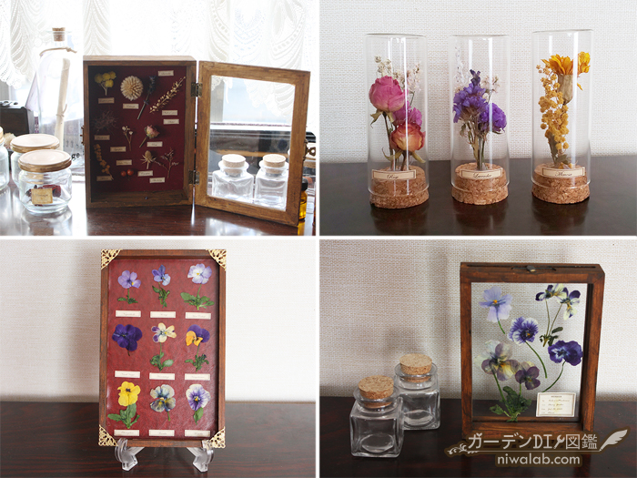 100円ショップの木箱とミニボトルで作る、アンティークな植物標本