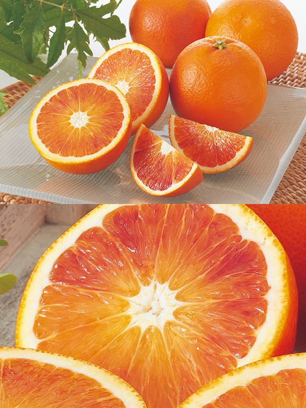 愛媛産「ブラッドオレンジ」約7kg-家庭用 | のま果樹園