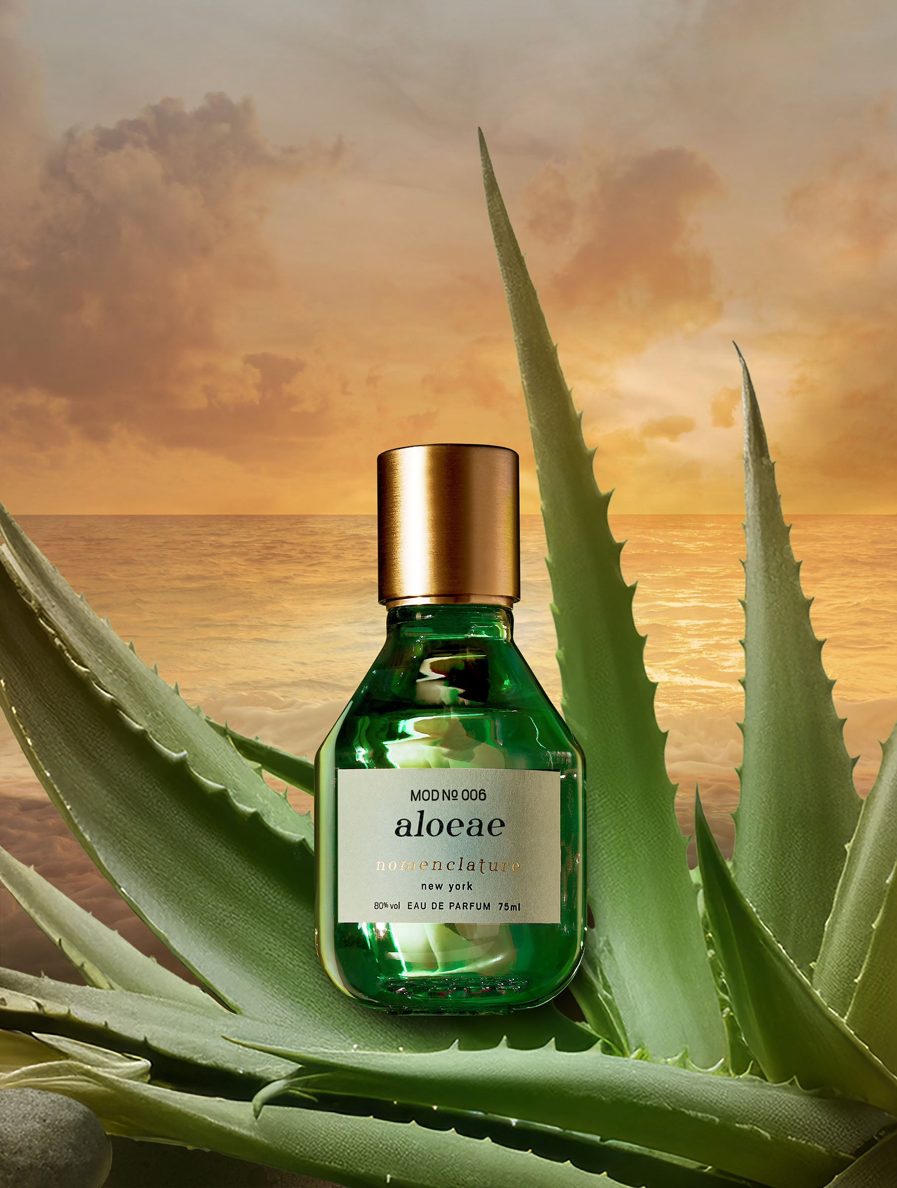 Aloeae - Eau de Parfum | Nomenclature