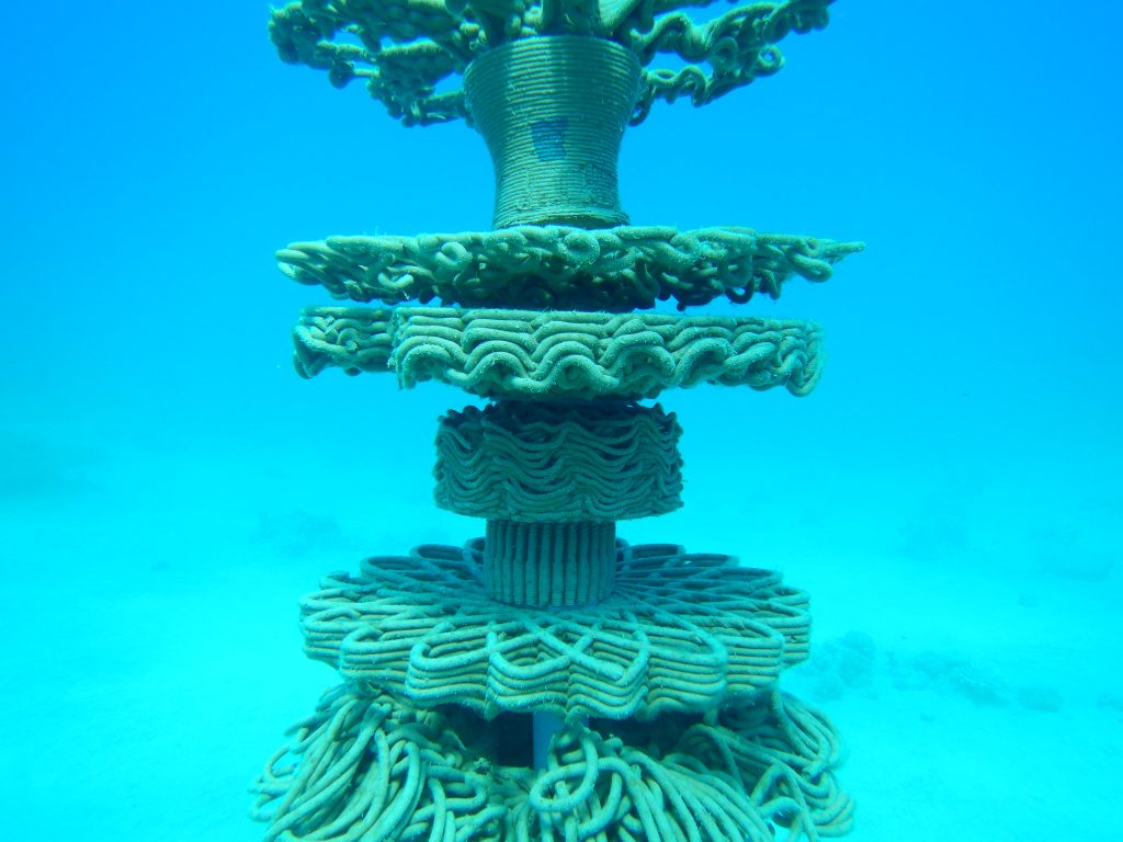 1st-Ever Study Shows How 3D Design Supports Science To Save Coral