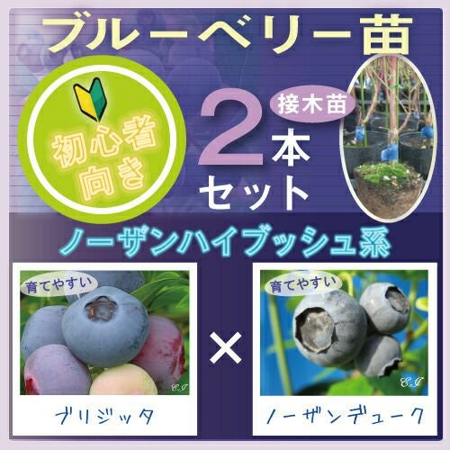 000000009584-02.jpg?size=l&w=