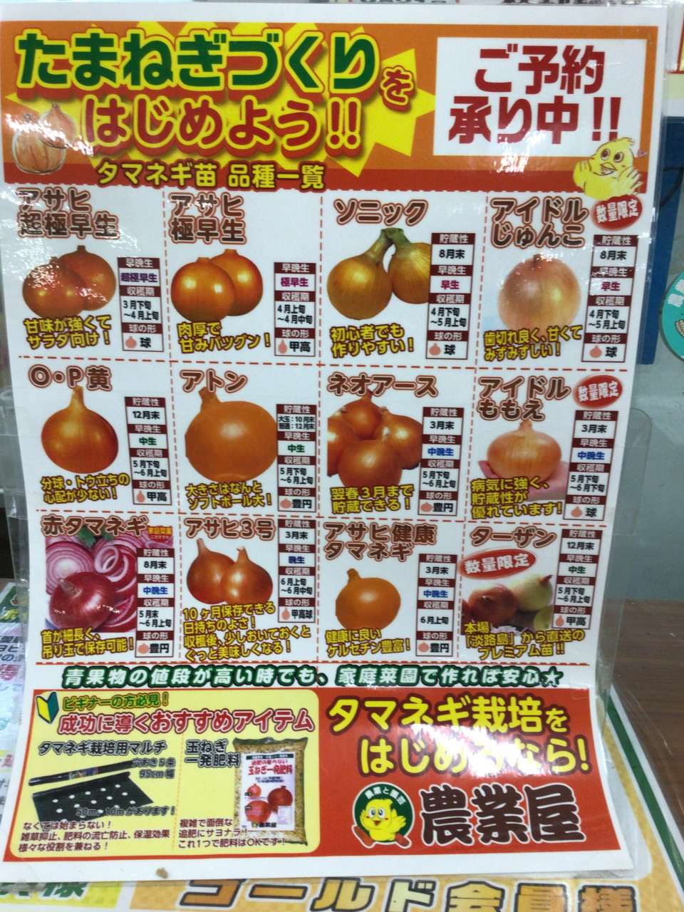 🧅予約受付中🧅】タマネギの予約が始まりました！