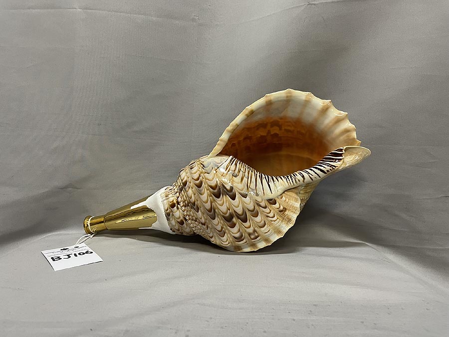 定*吉様 大型38㎝修験道法螺貝 密教 魔除け 山伏 熊よけ ほら貝