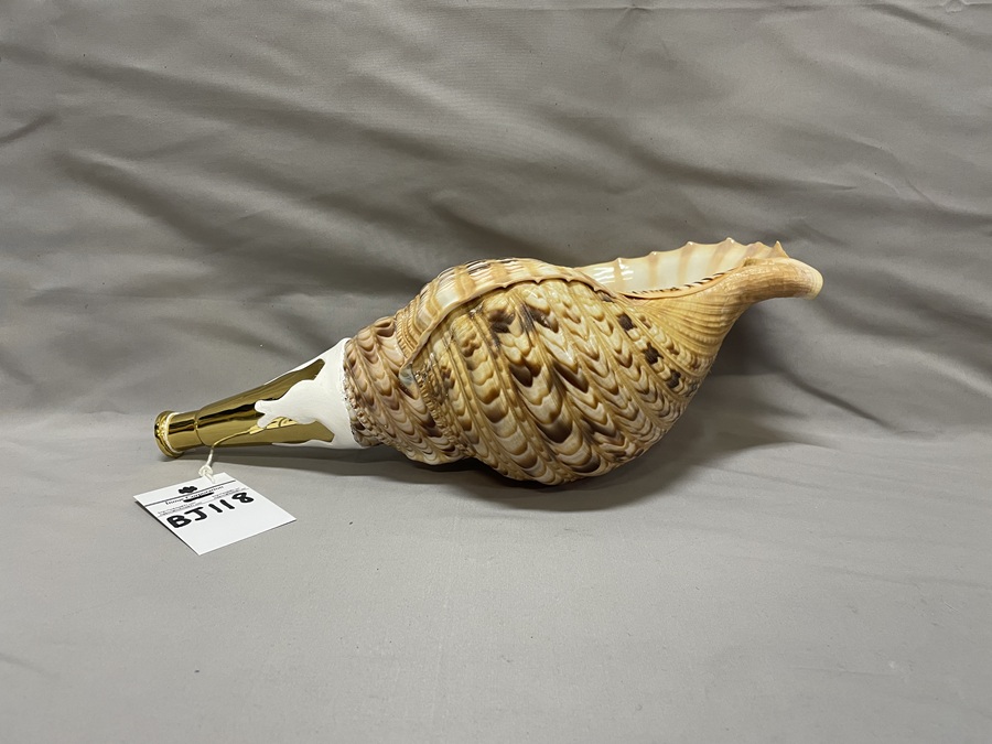 法螺貝（ほら貝）、歌口（吹き口）付 制作、販売、修理、特価在庫