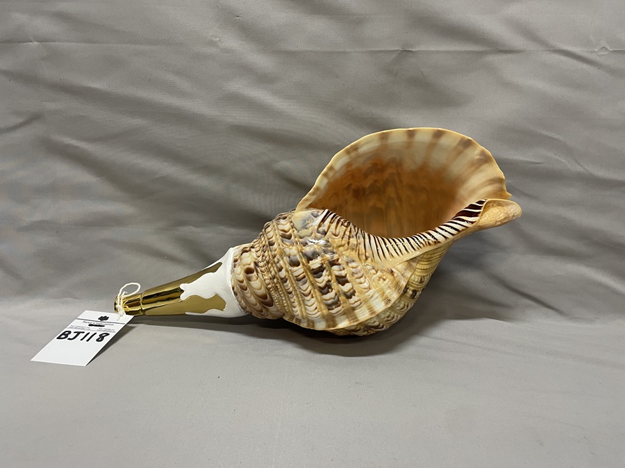 法螺貝（ほら貝）、歌口（吹き口）付 制作、販売、修理、特価在庫