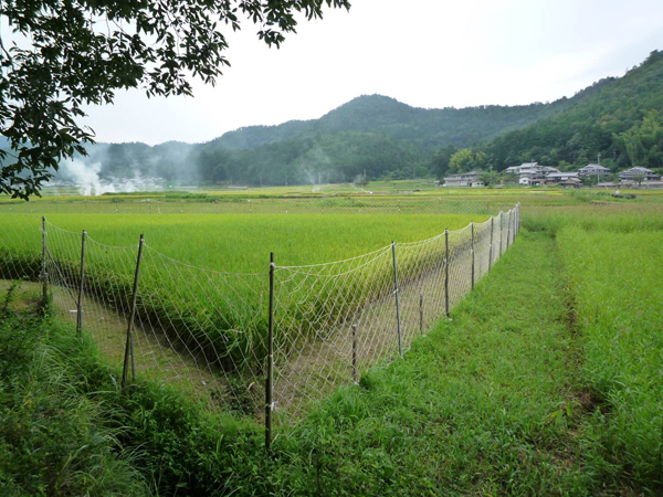 再生のり網「使用例」 | のり網エコネット株式会社