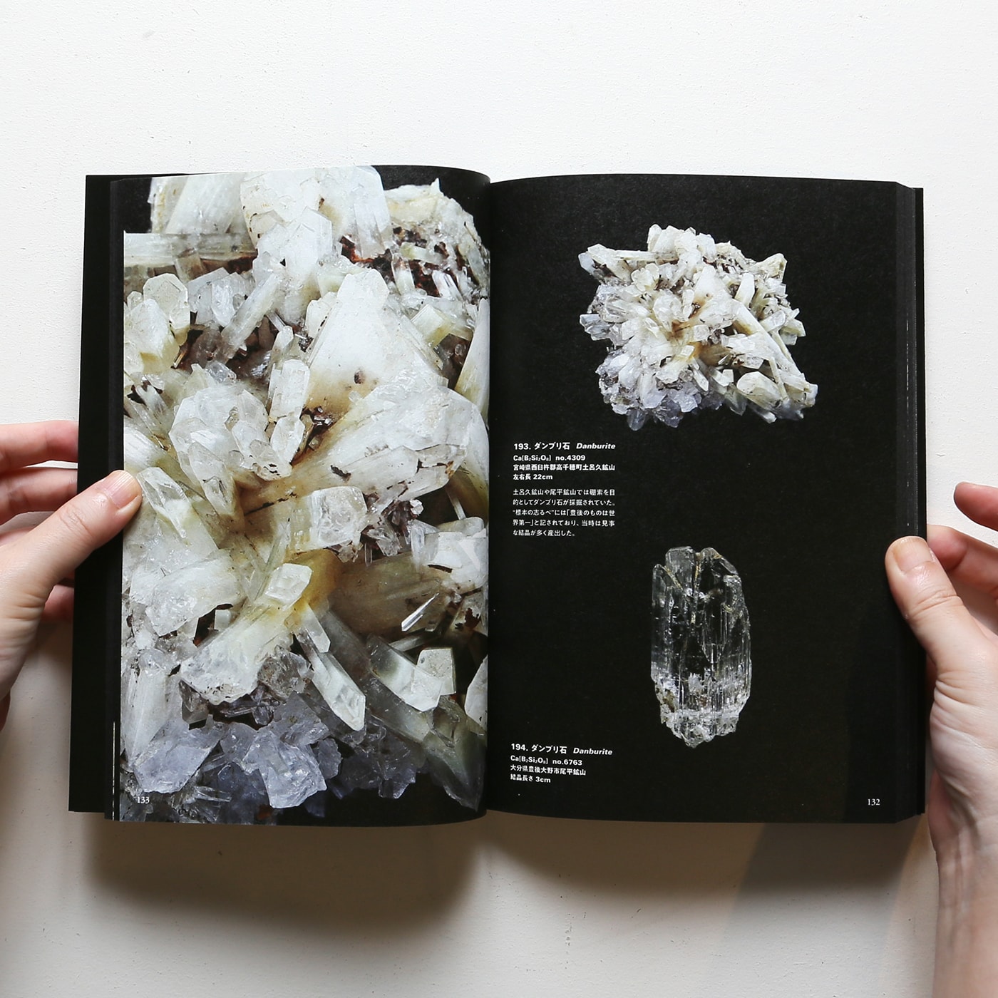 地の宝II 比企鉱物標本 | 京都大学総合博物館 | nostos books ノストス