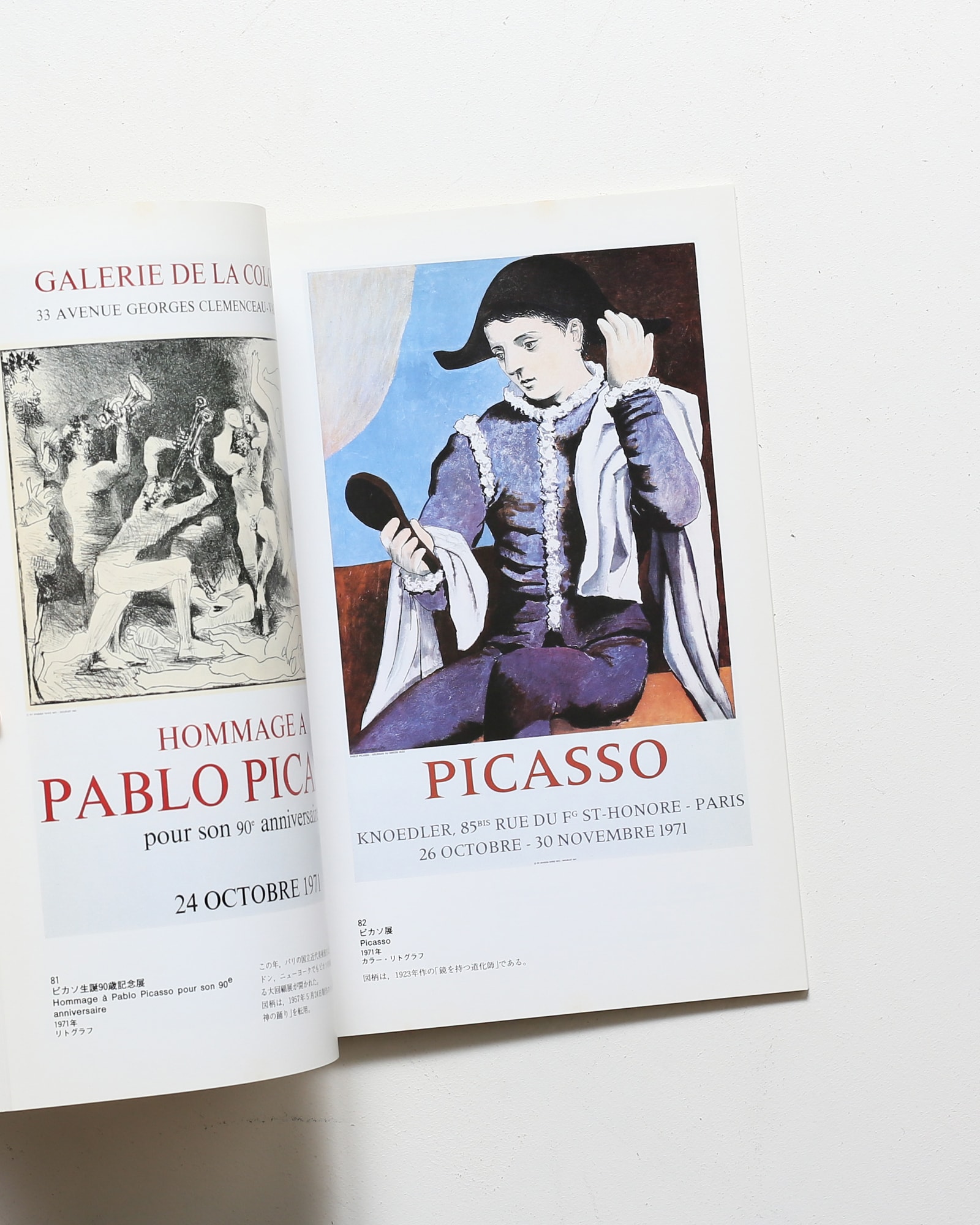 ピカソ・ポスター展 | nostos books ノストスブックス