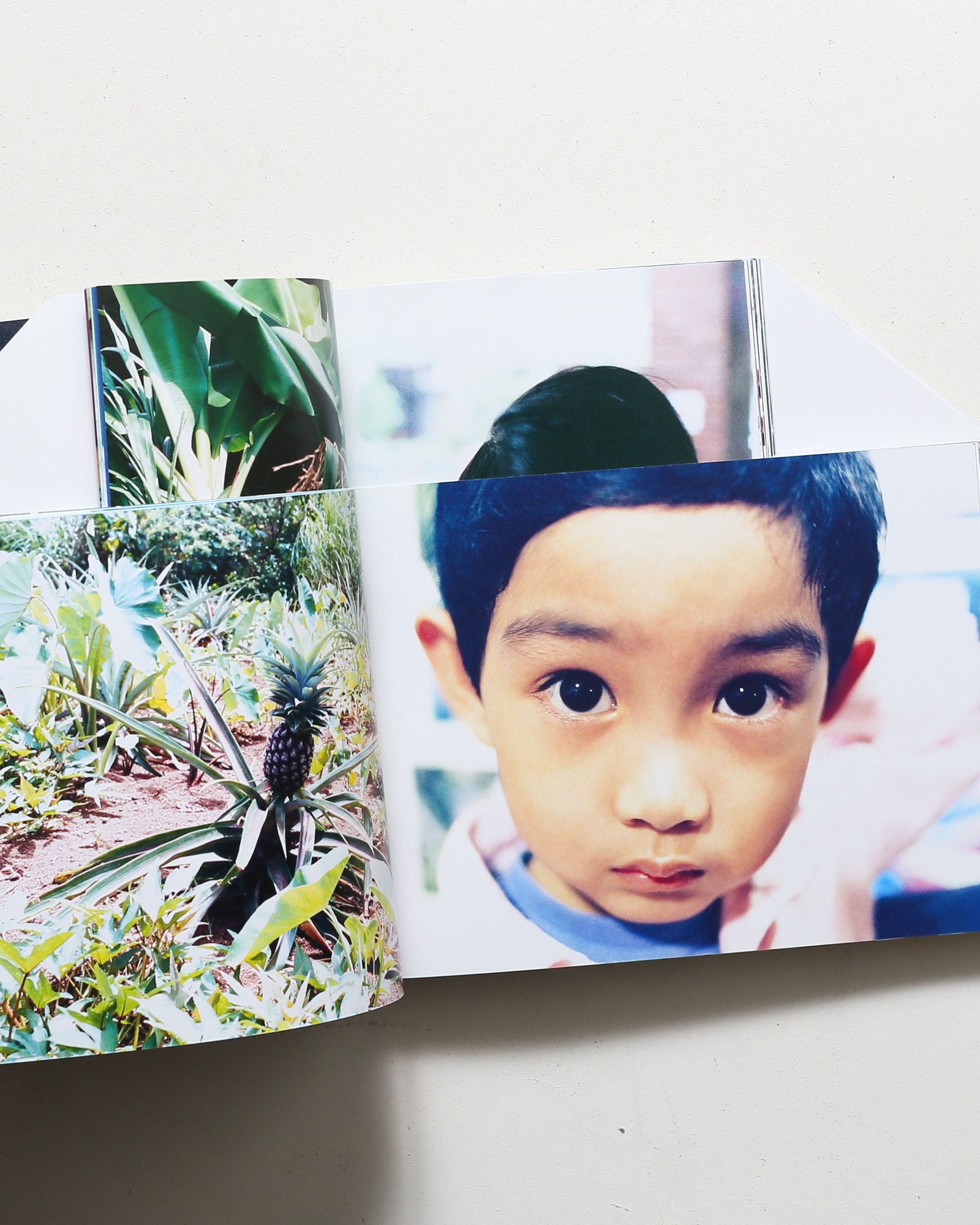 川島小鳥写真集 明星 | nostos books ノストスブックス