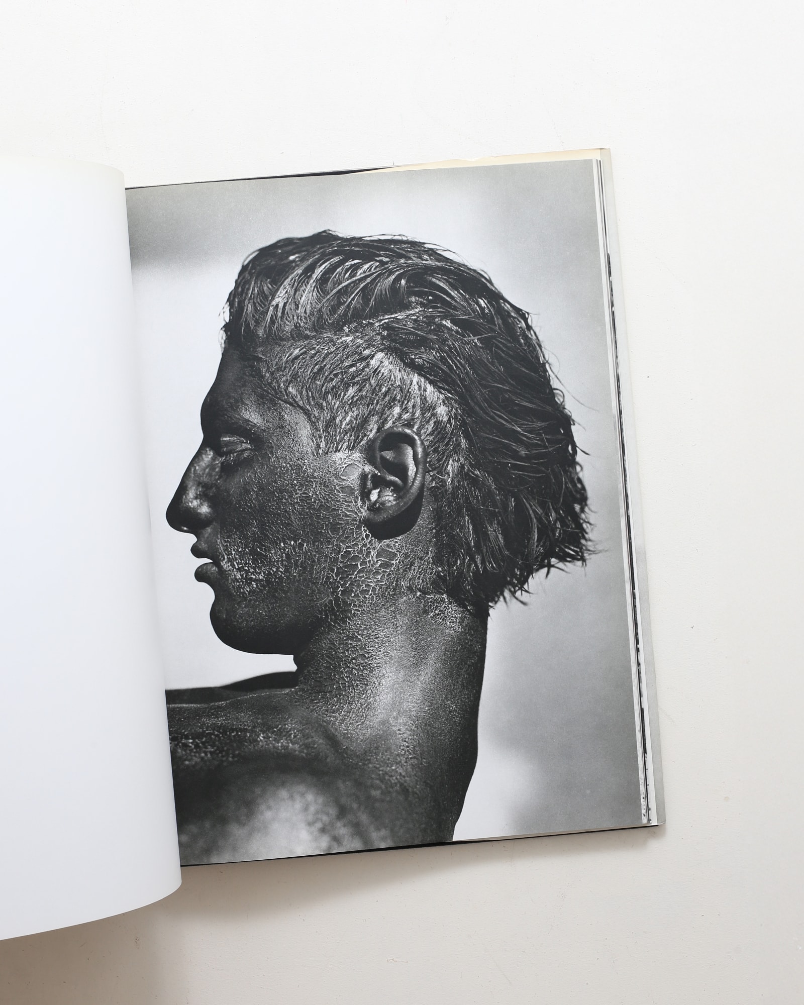 Herb Ritts: Pictures | ハーブ・リッツ | nostos books ノストスブックス