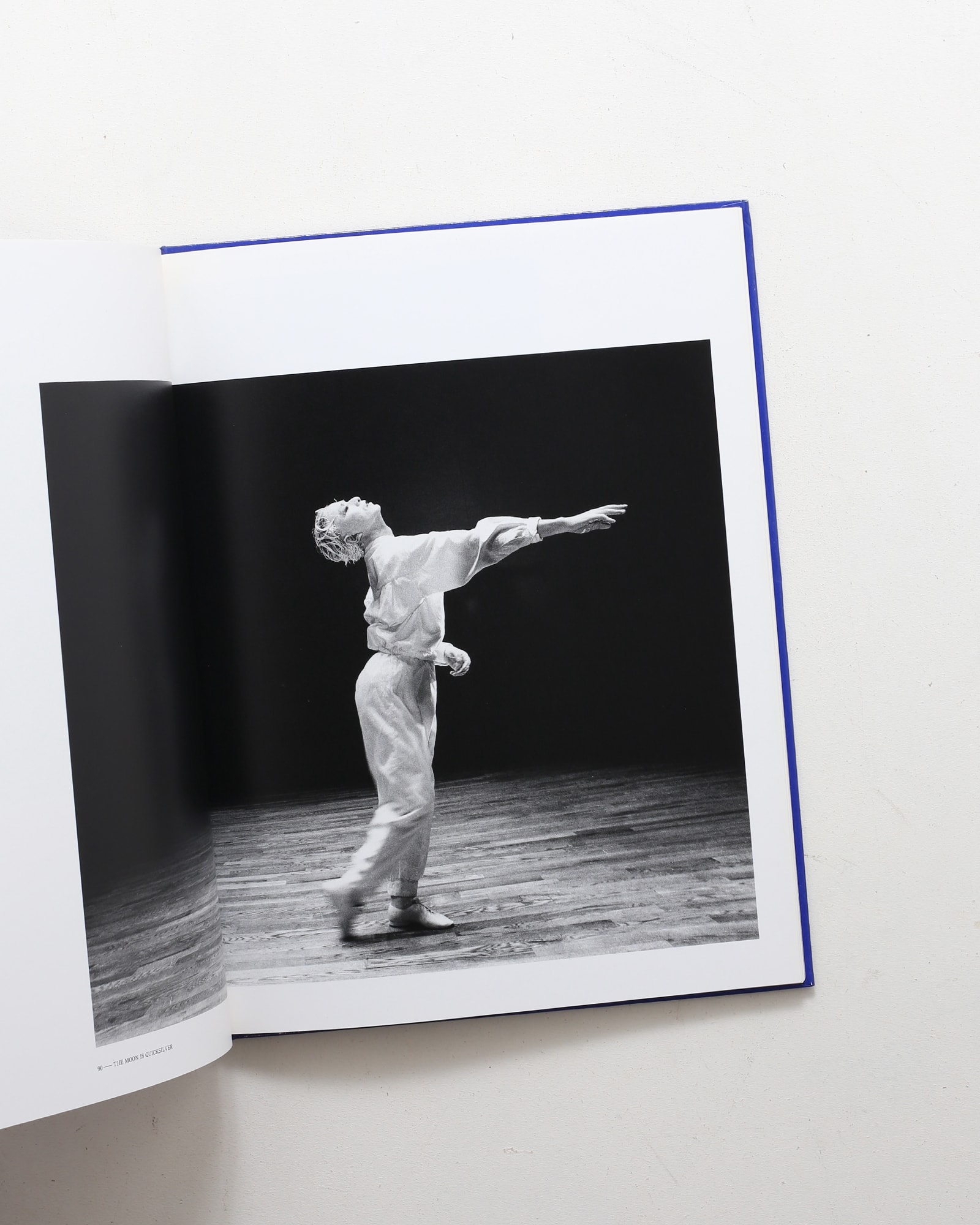 青い隕石 | 勅使川原三郎、荒木経惟 | nostos books ノストスブックス