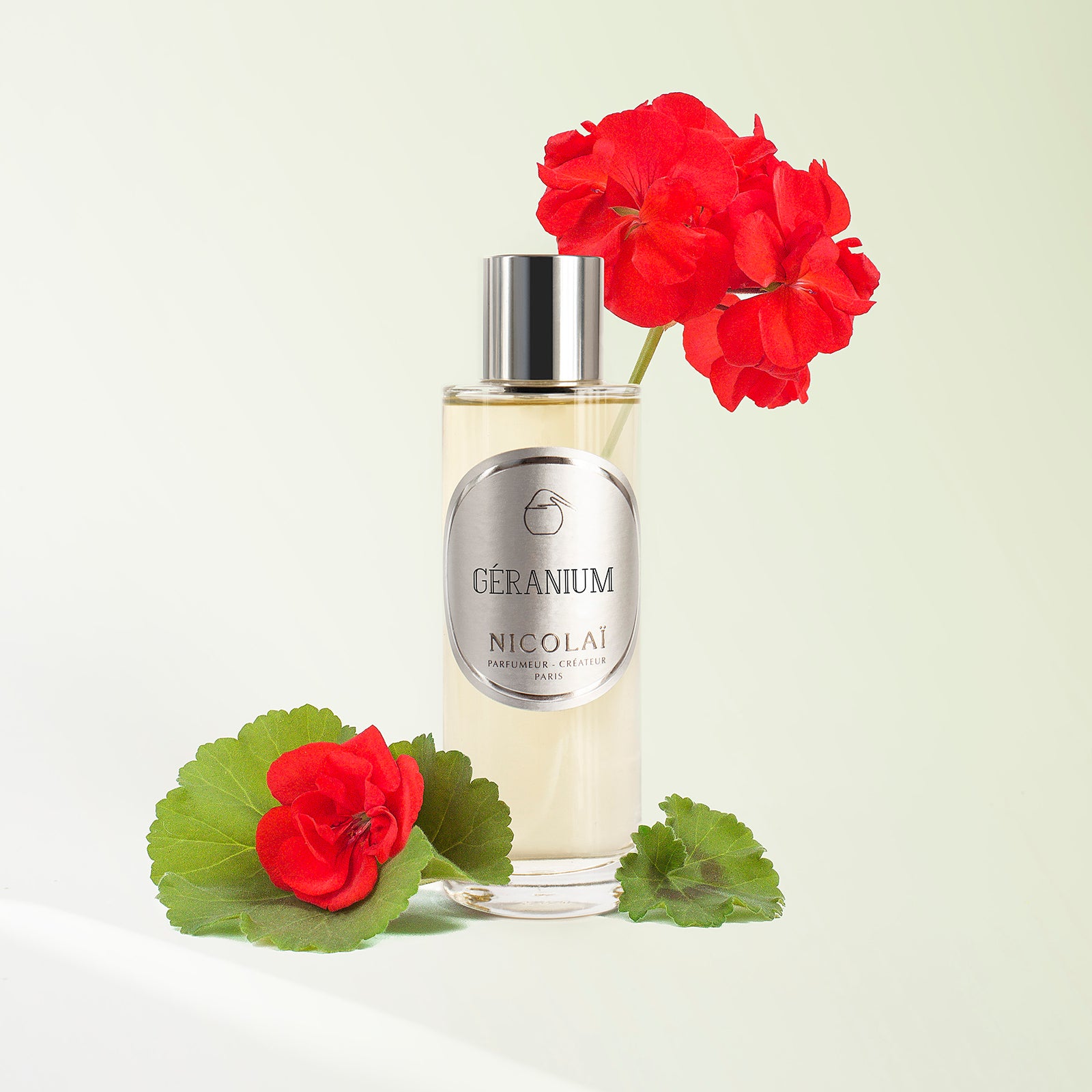 ゼラニウム｜ゼラニウム – NOSE SHOP