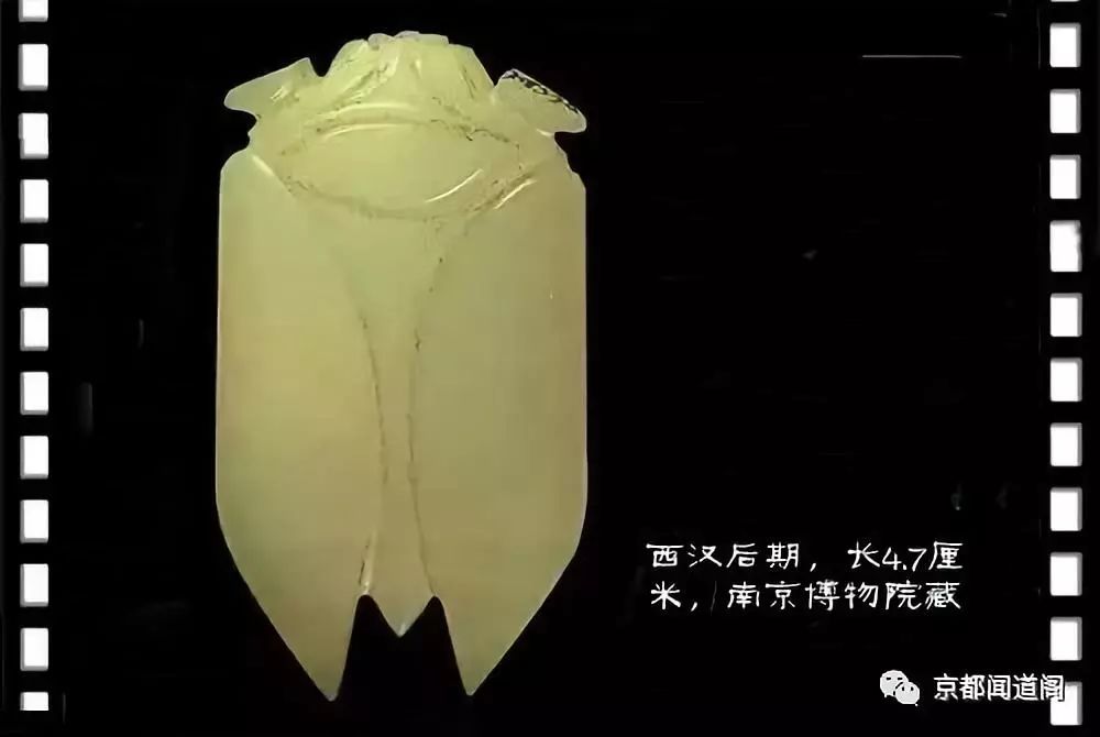 推荐赏析|中国历代古玉古玉蝉-古玉收藏|馆藏古玉|高古明清玉器的古玉
