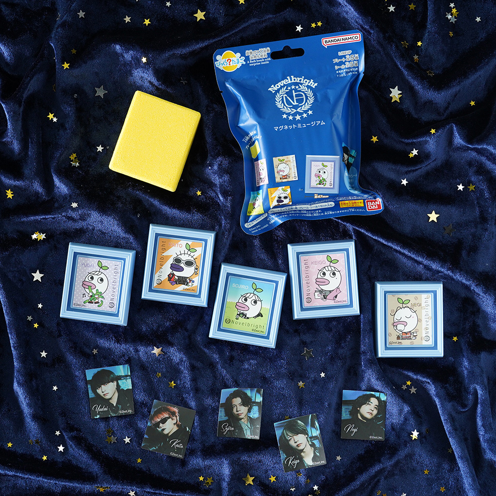 2025 Novelbright ARENA TOUR