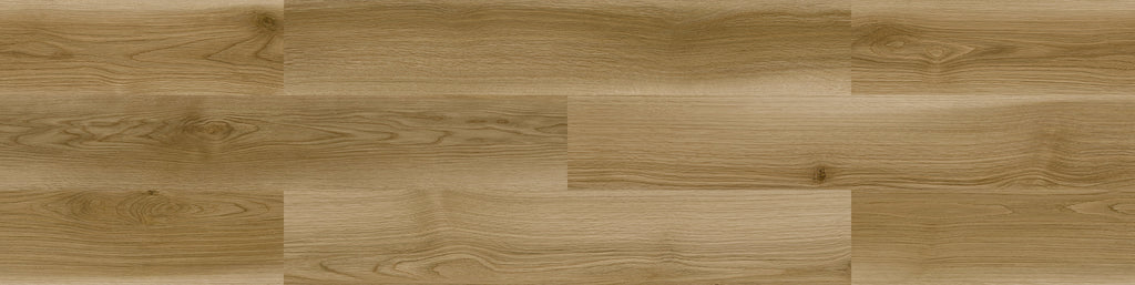 TTN3134_B_1_1024x1024.jpg?v=