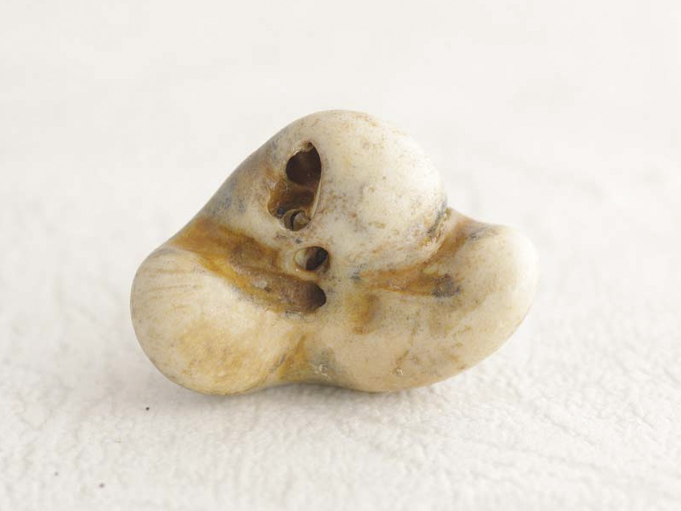 イルカの耳骨 G5-04 – NPO法人なの花会