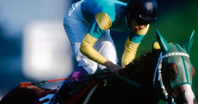 img_980daf3f2394dd263fd06e1114