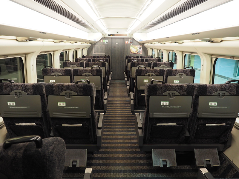 E3系1000番台「つばさ」 グリーン車 車内の様子を紹介 座席・デッキの