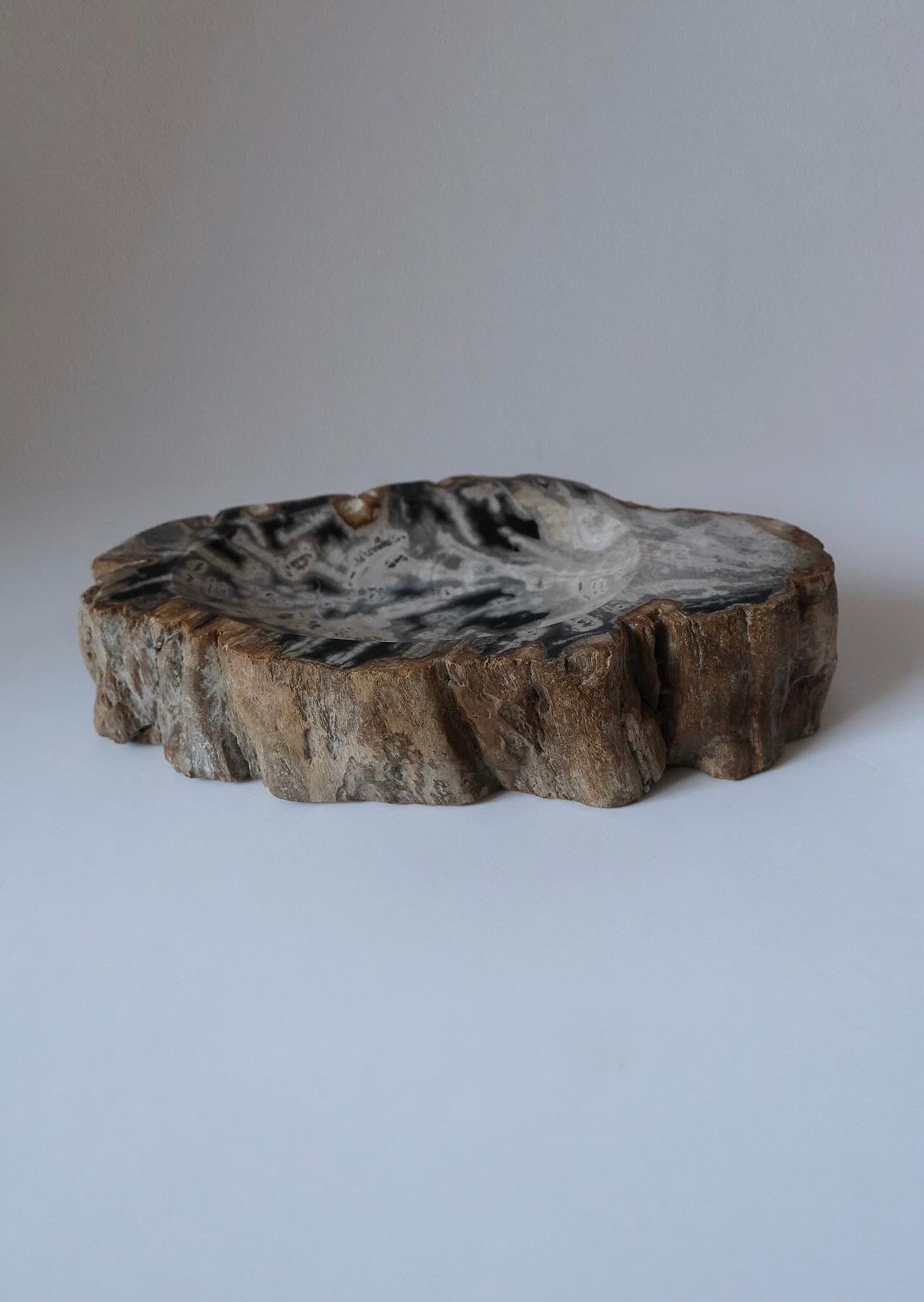 OAK Petrified Wood｜日本初の珪化木インテリア専門店