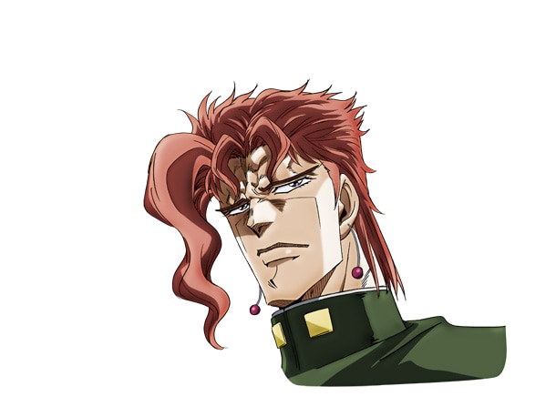 花京院典明 (c)荒木飛呂彦＆LUCKY LAND COMMUNICATIONS/集英社