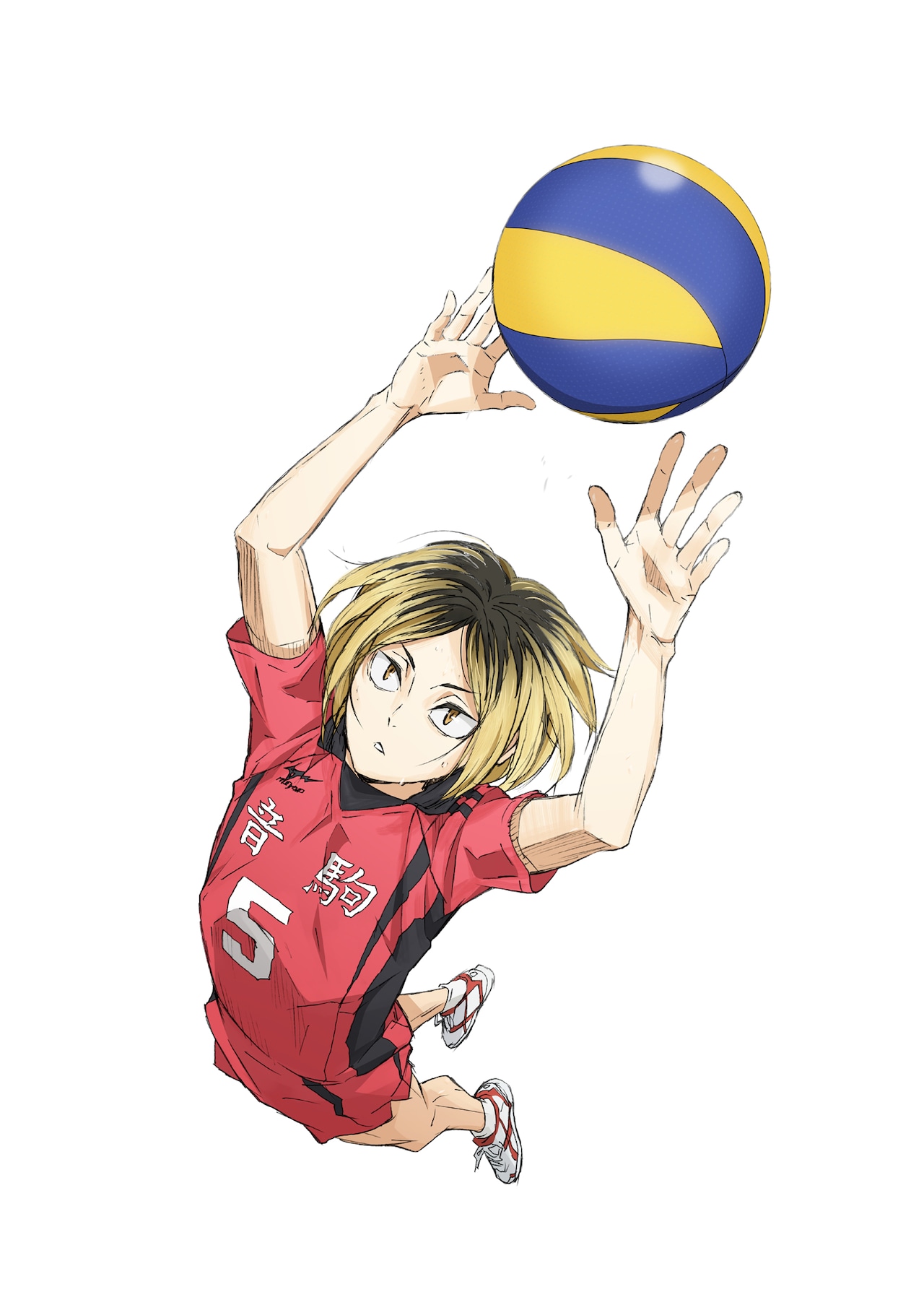 セッター・孤爪研磨のアクションビジュアル。 [画像・動画・SNS投稿