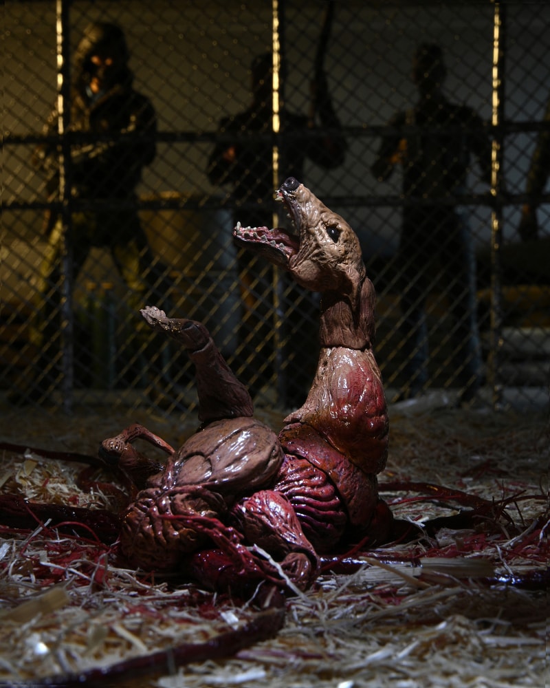 遊星からの物体X The Thing/ 物体X ドッグ・シング デラックス