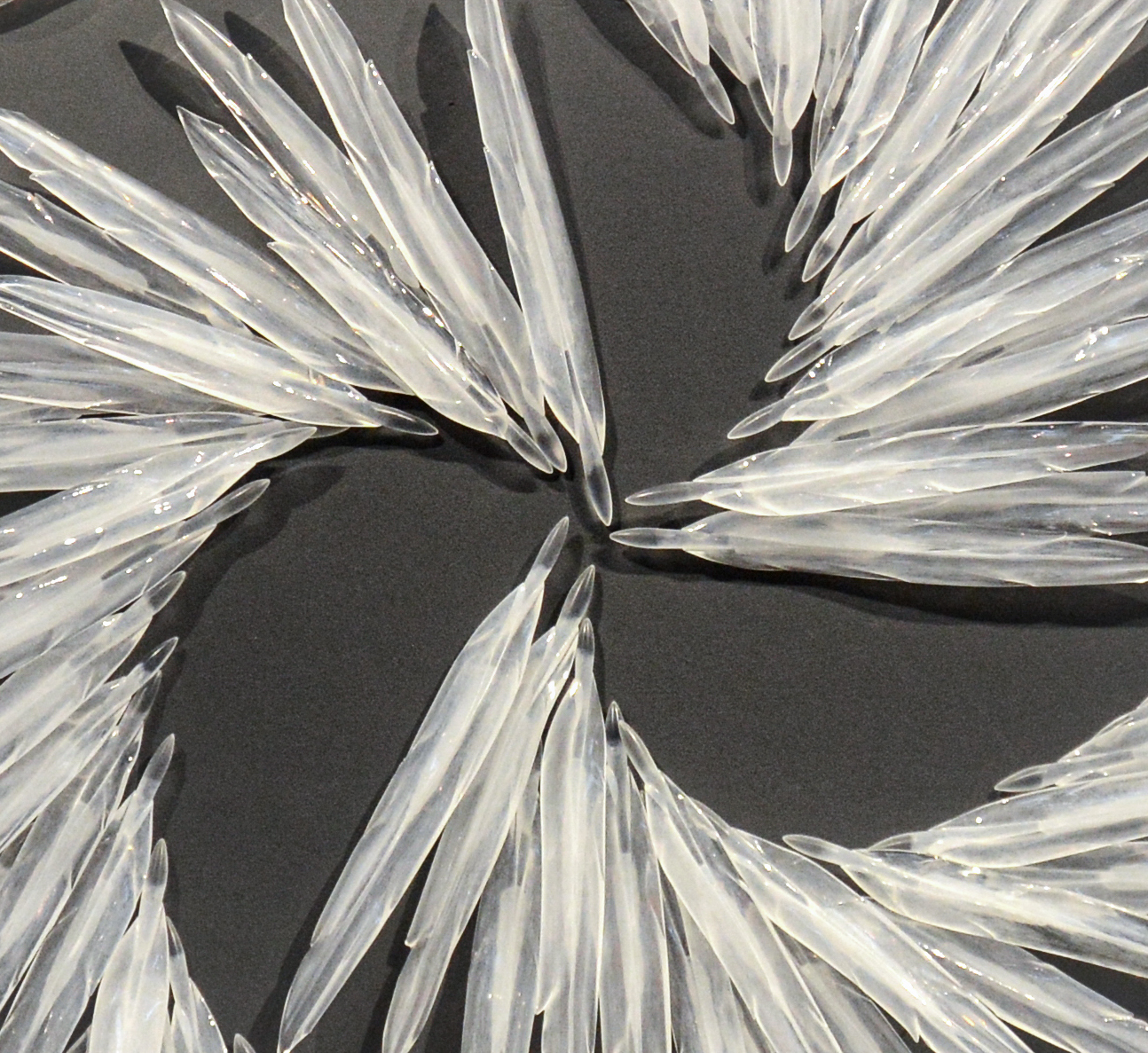 Flying » Oeno Gallery