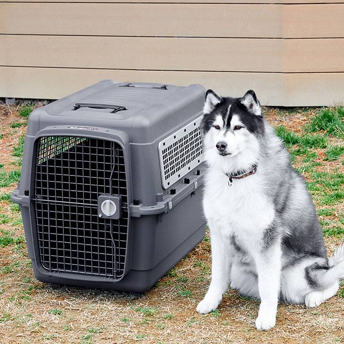 ペットケンネル・ファーストクラス ブラックエディション（L90