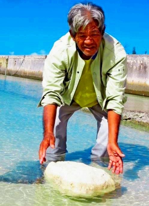 軽石！？海に浮く10キロの石 多良間島 | 沖縄タイムス＋プラス