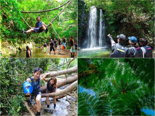 やんばるの秘境！沖縄北部・大宜味村の絶景「ター滝」完全ガイド