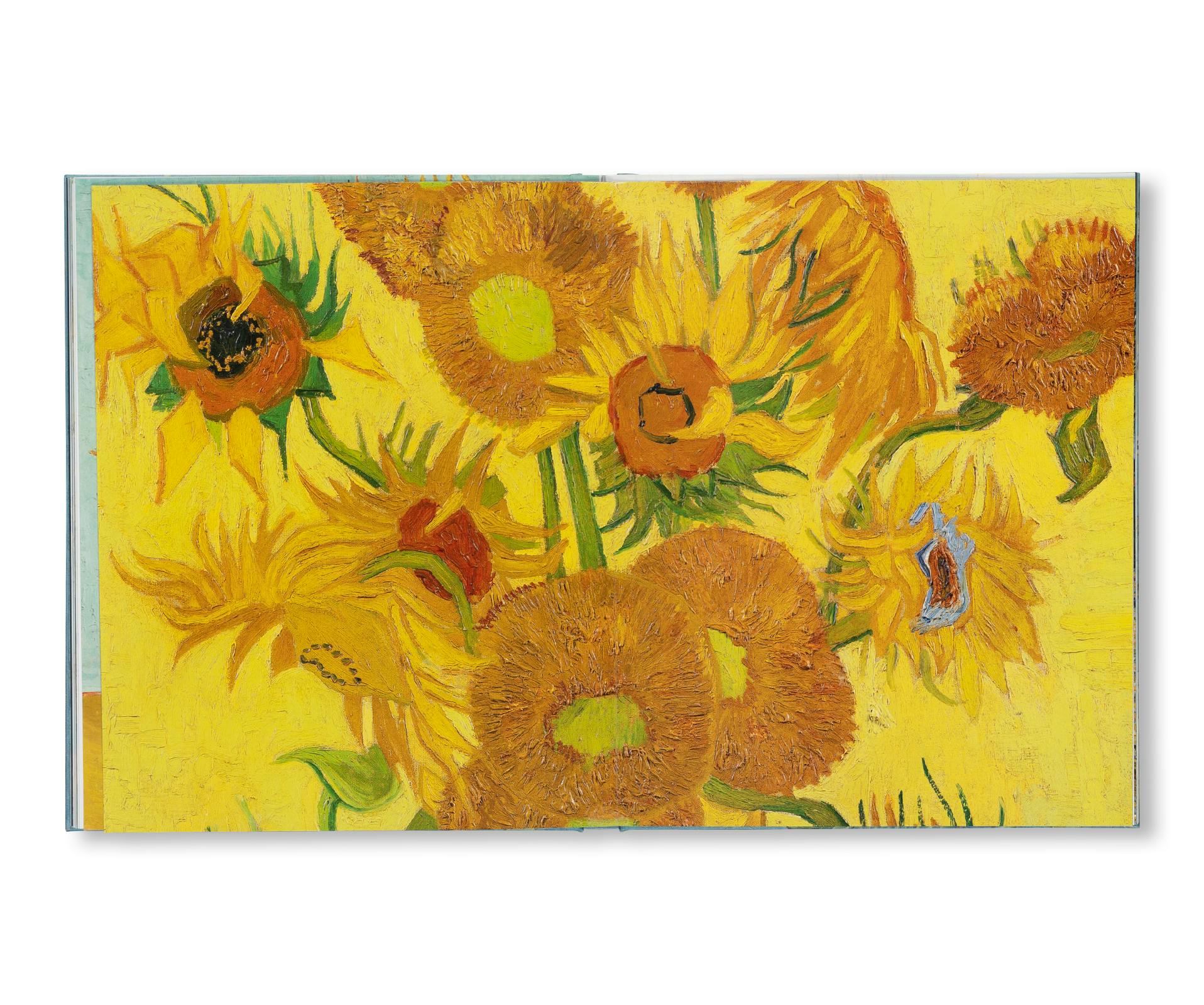 VAN GOGH - THE BIGGER PICTURE：フィンセント・ファン・ゴッホ | OIL