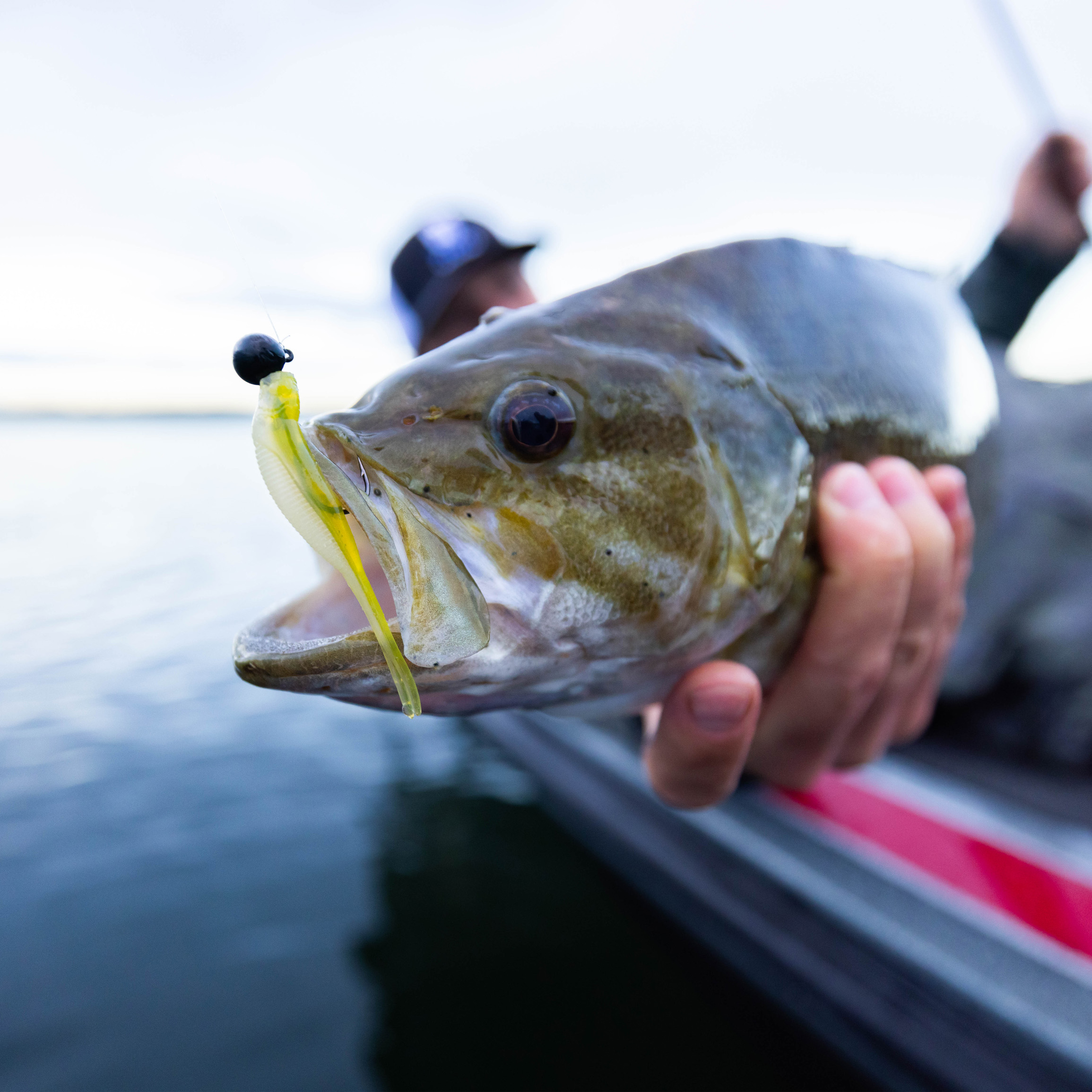 Xzone Lures Stealth Finesse Series 2.75