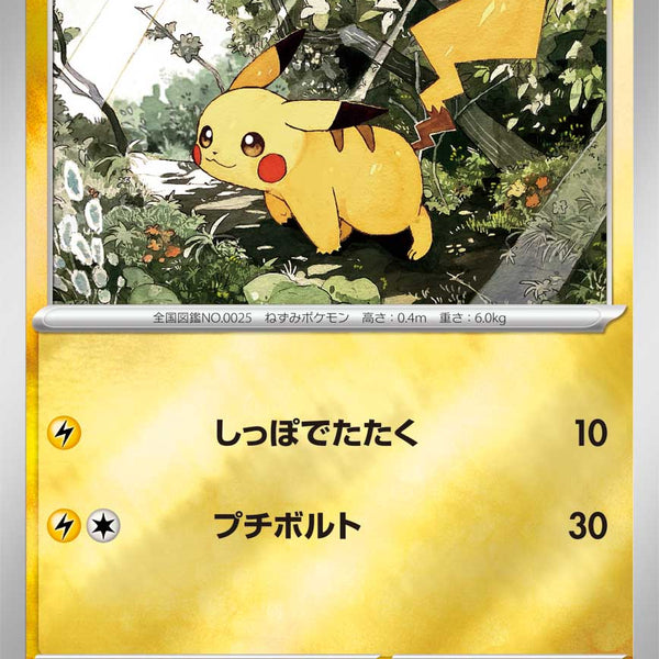 CR_P_MC_268_600x600_crop_cente